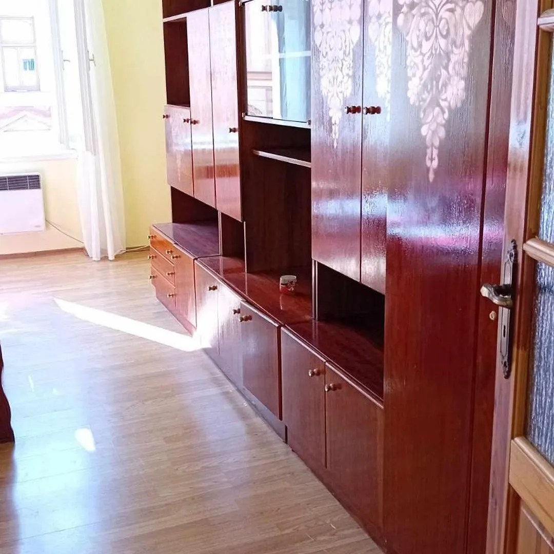 Flowery Bedroom Apartment Prague Zizkov