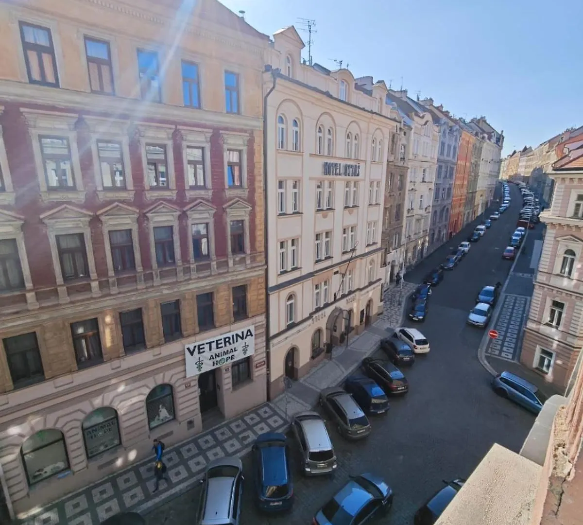 Flowery Bedroom Apartment Prague Zizkov Czechy